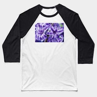 Hyacinthus orientalis  &#39;Marie&#39;  Hyacinth Baseball T-Shirt